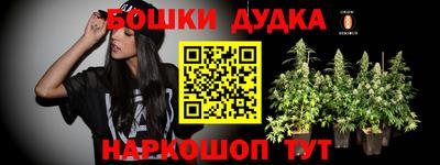 сатива Апшеронск