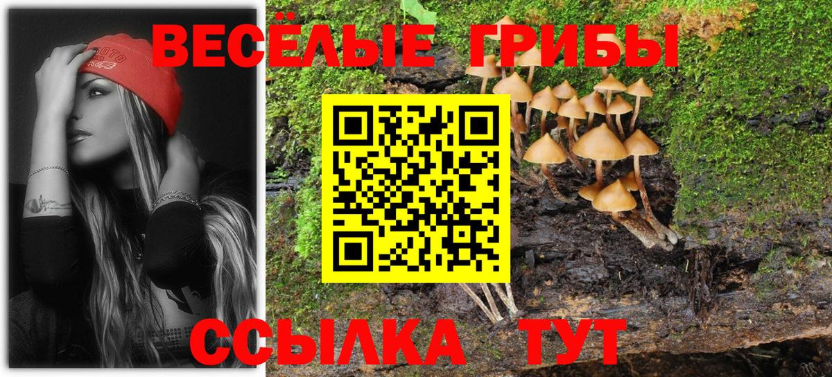 Псилоцибиновые грибы ЛСД  Вход с VPN  Волоколамск 