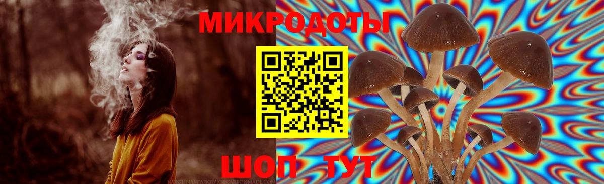 Псилоцибиновые грибы MAGIC MUSHROOMS  Волоколамск  Псилоцибиновые грибы Psilocybine cubensis 